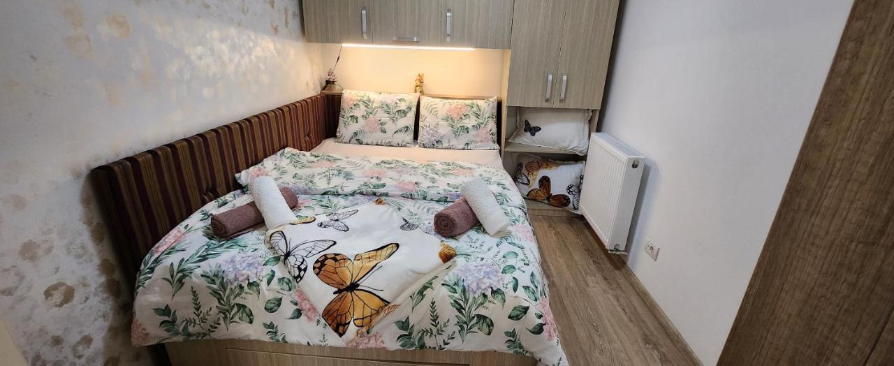 Butterfly Apartment Timişoara Exterior foto