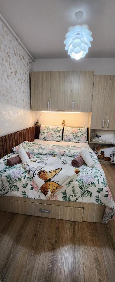 Butterfly Apartment Timişoara Exterior foto